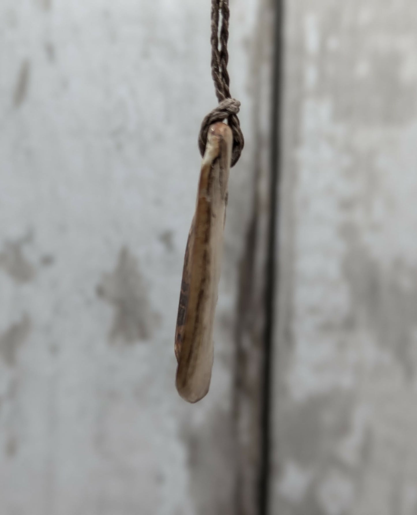 Mammoth ivory tusk fossil roimata tear drop pendant.