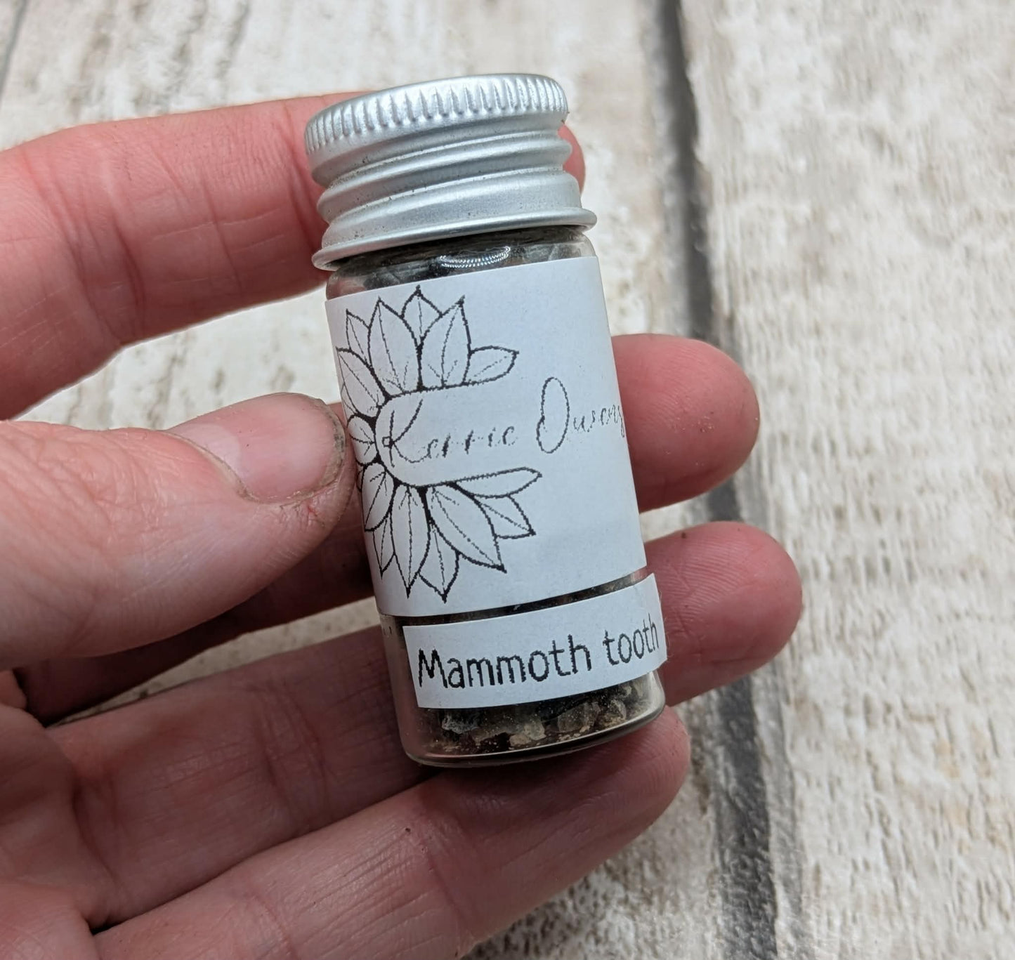 Mammoths tooth vial for jewellery inlay or spell ingredients.