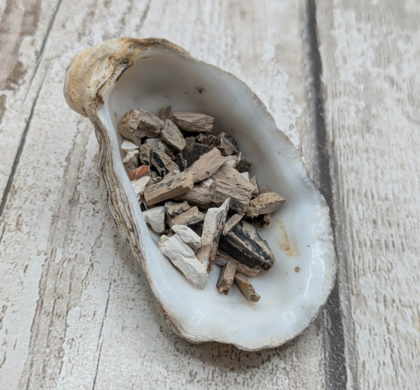 Mammoth ivory vial for jewellery inlay or spell ingredients.