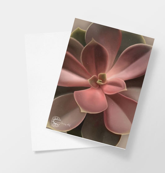 Red ombre succulent greetings card