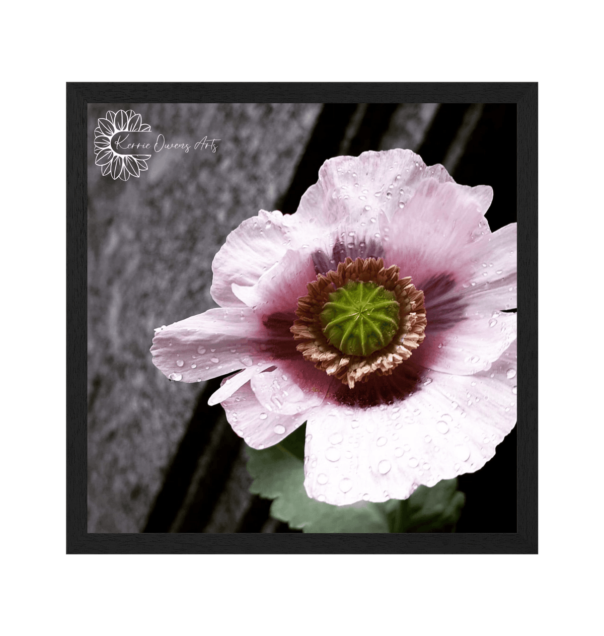 Black Frame Framed art print Front