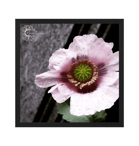 Black Frame Framed art print Front
