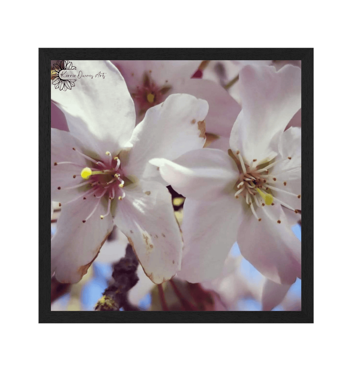 Black Frame Framed art print Front