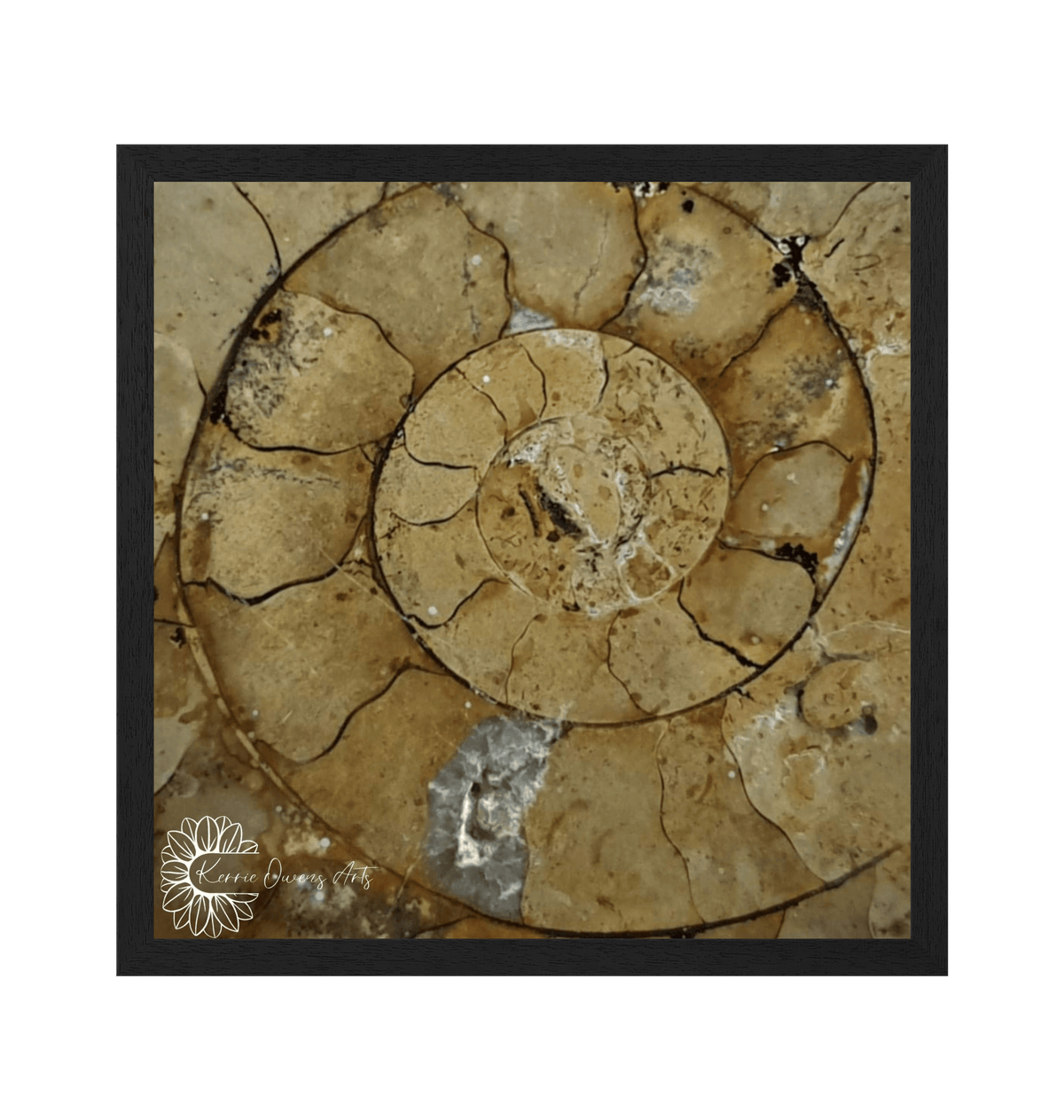 Black Frame Framed art print Front