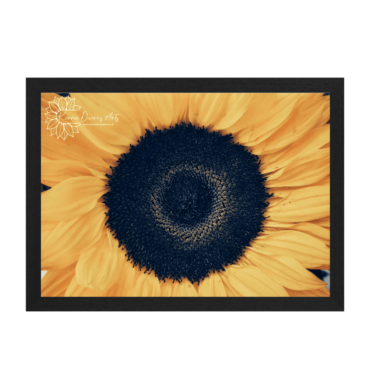 Black Frame Framed art print Front