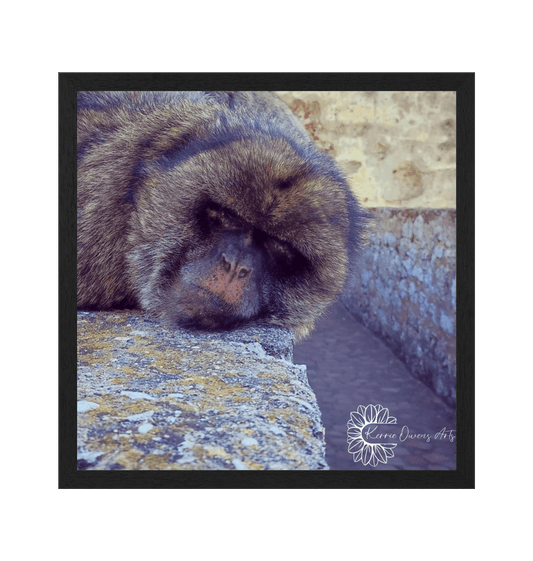Black Frame Framed art print Front