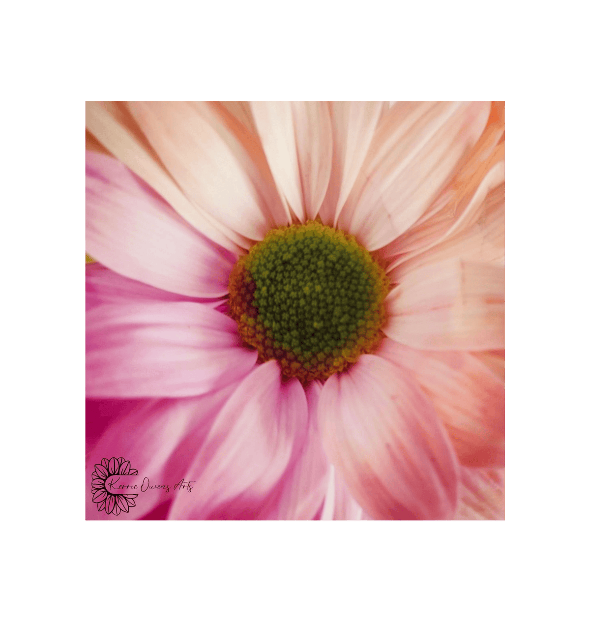 No Frame Framed art print Front