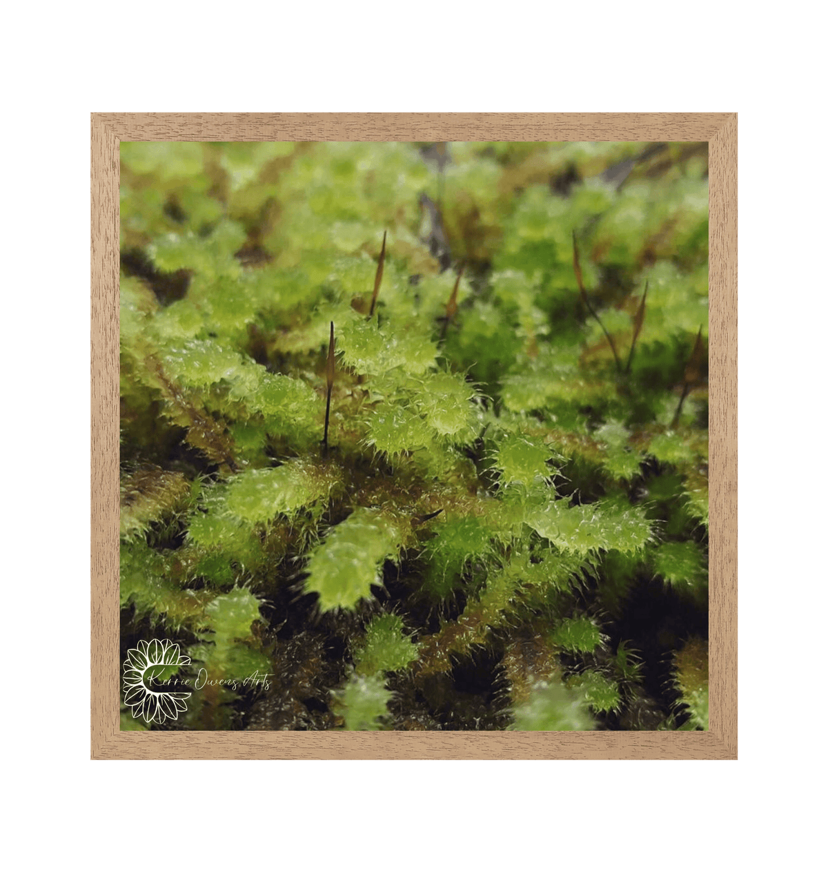 Natural Frame Framed art print Front