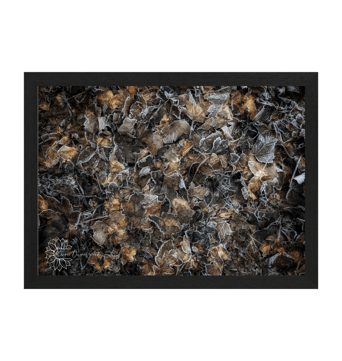Black Frame Framed art print Front