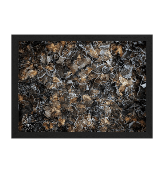 Black Frame Framed art print Front