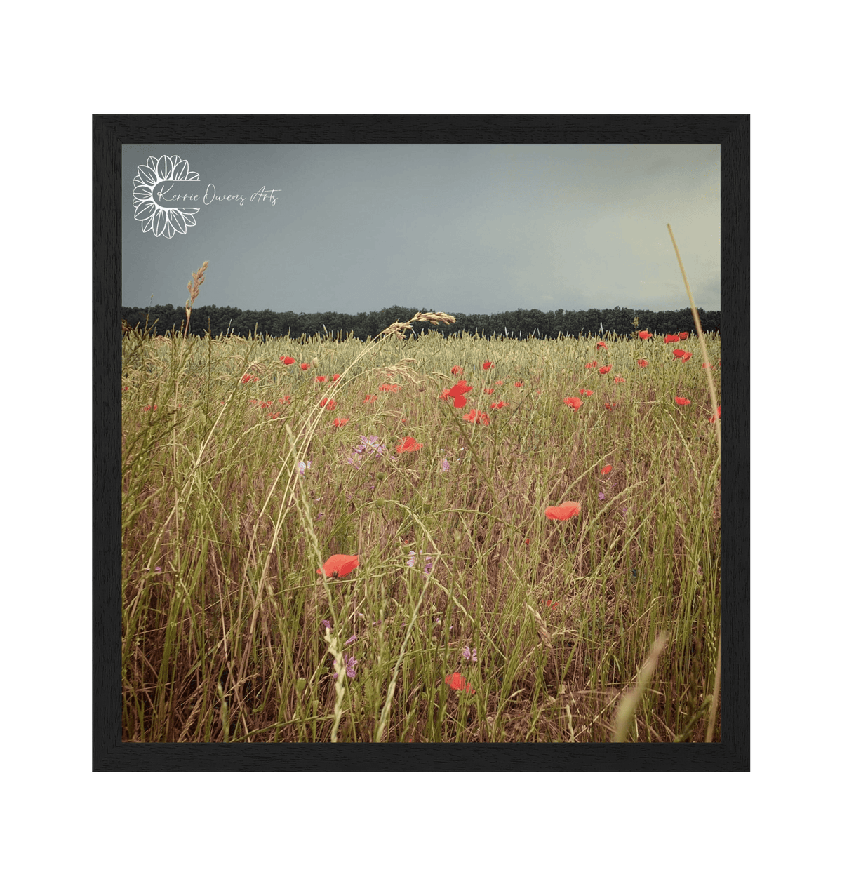 Black Frame Framed art print Front