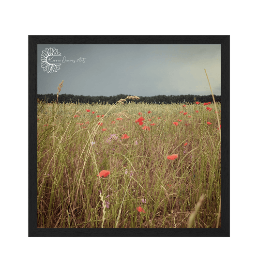 Black Frame Framed art print Front
