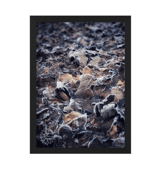 Black Frame Framed art print Front