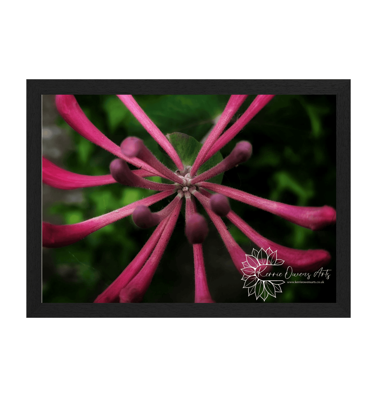 Black Frame Framed art print Front
