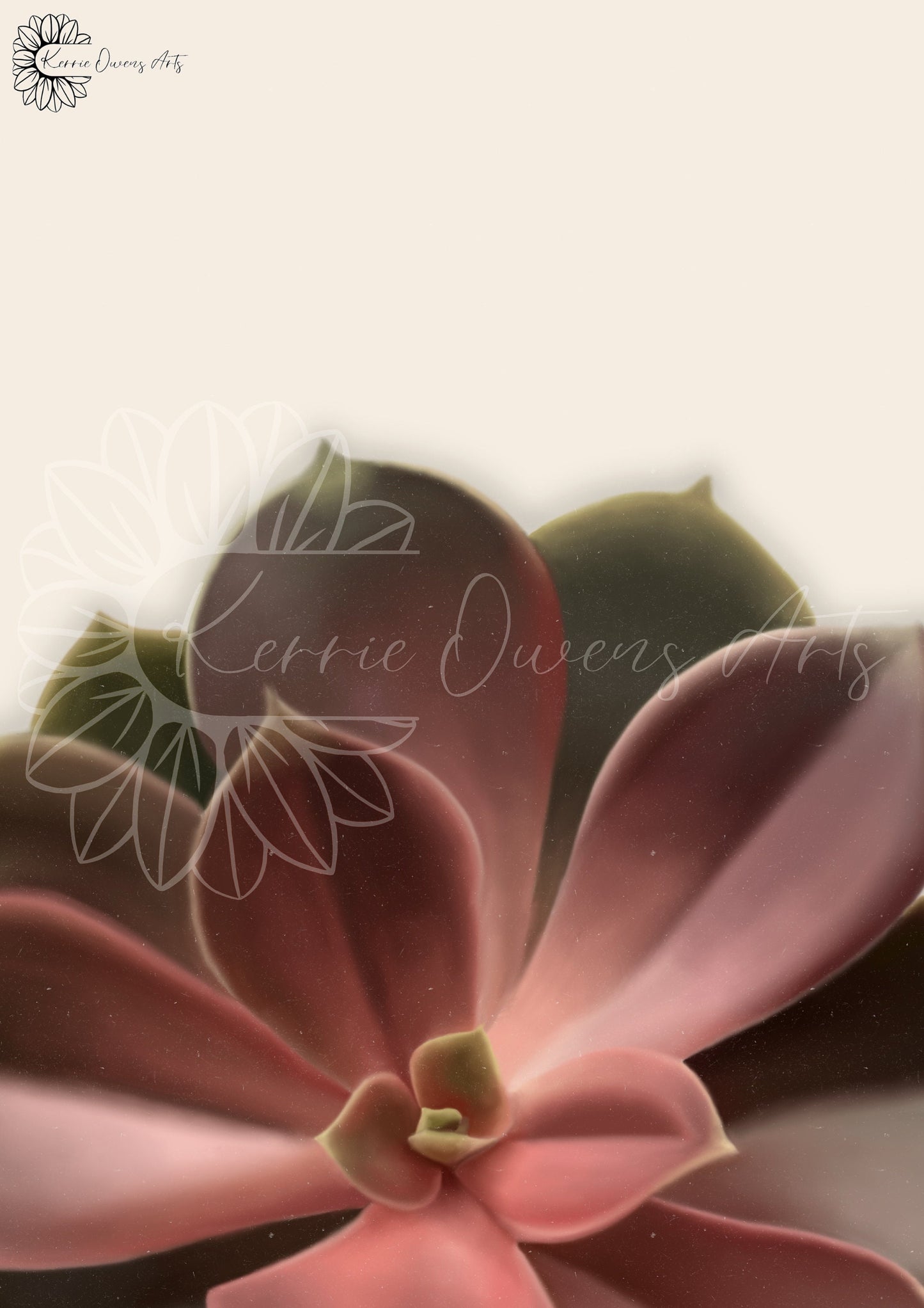 Red succulent poster illustration, digital download.