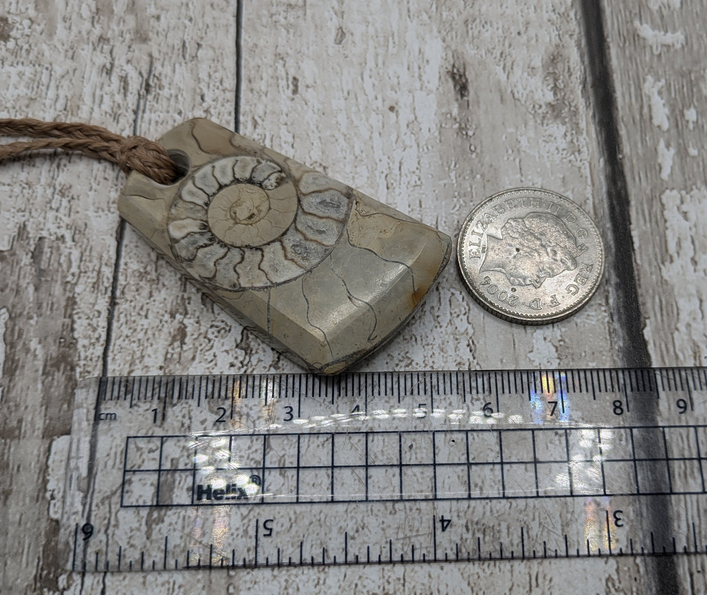 Somerset limestone ammonite pendant.