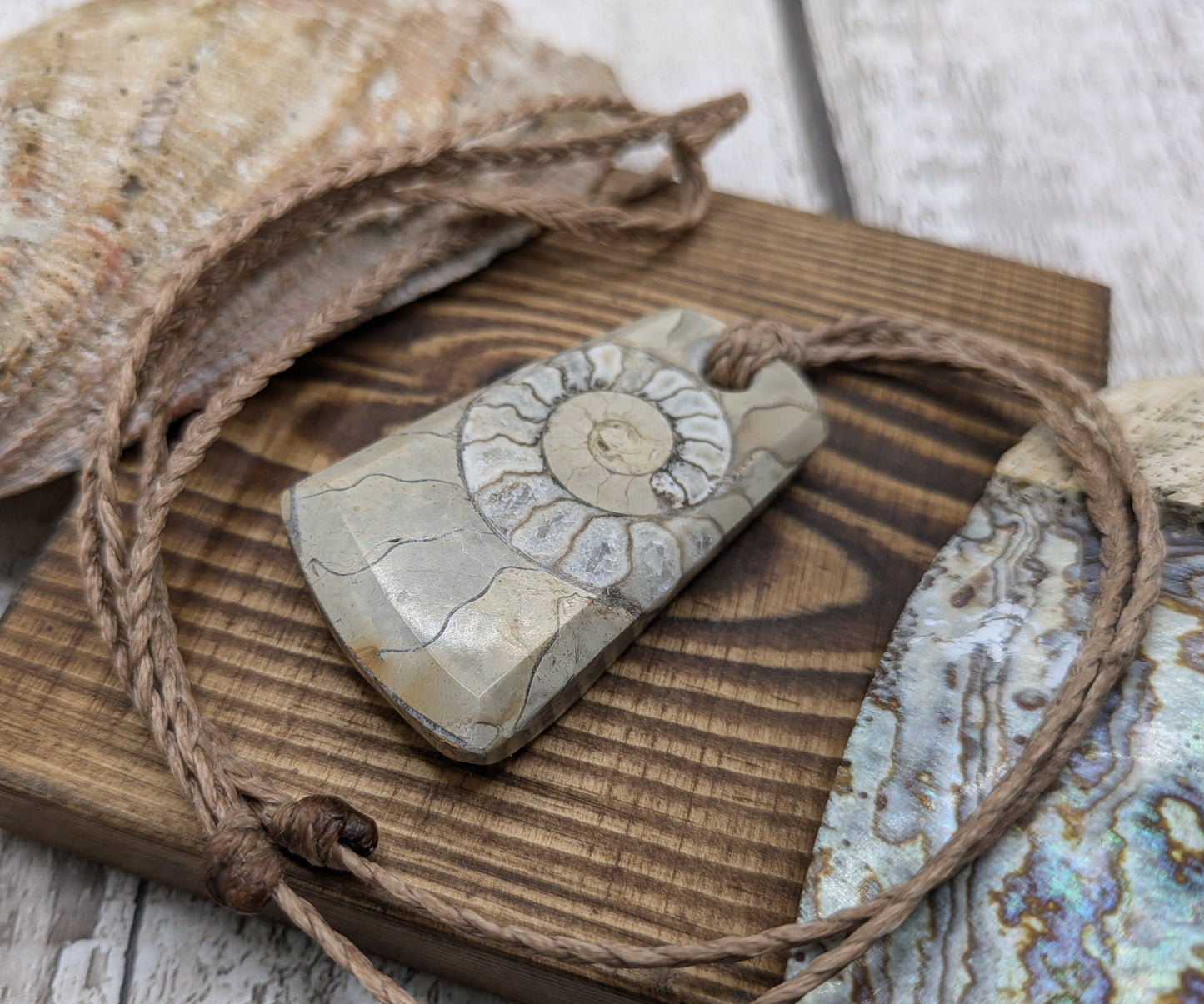 Somerset limestone ammonite pendant.