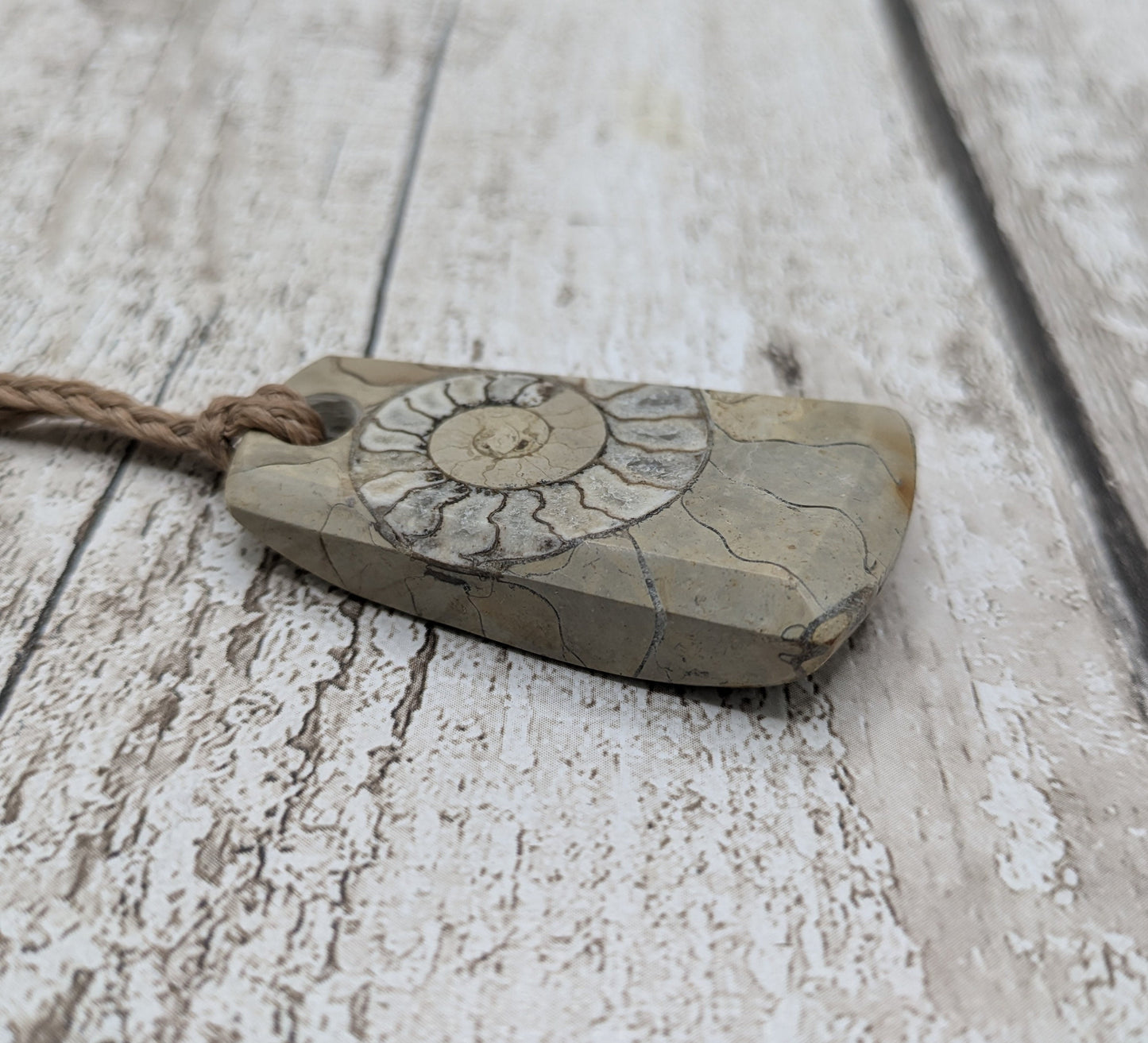 Somerset limestone ammonite pendant.