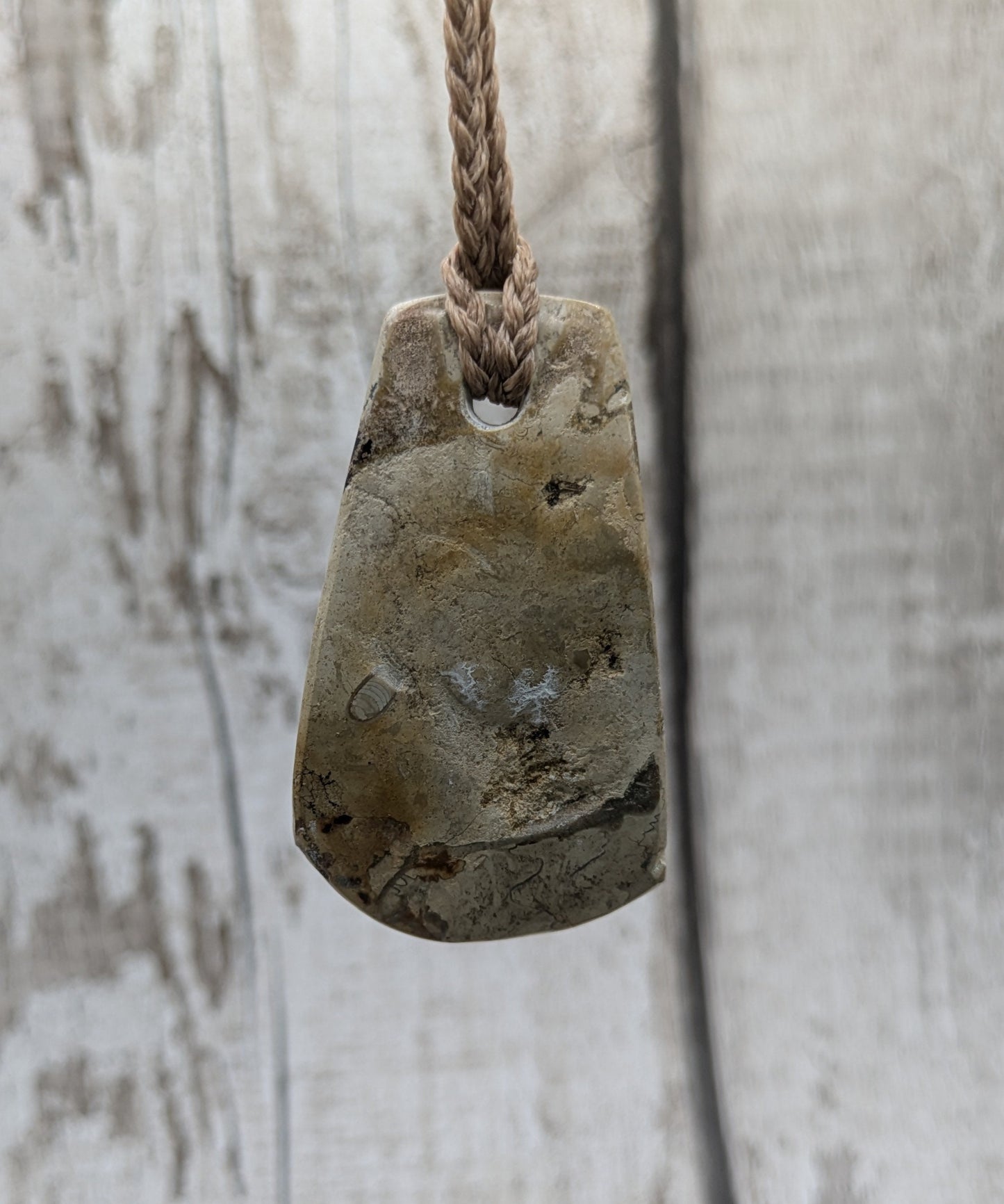 Somerset limestone ammonite fossil pendant.