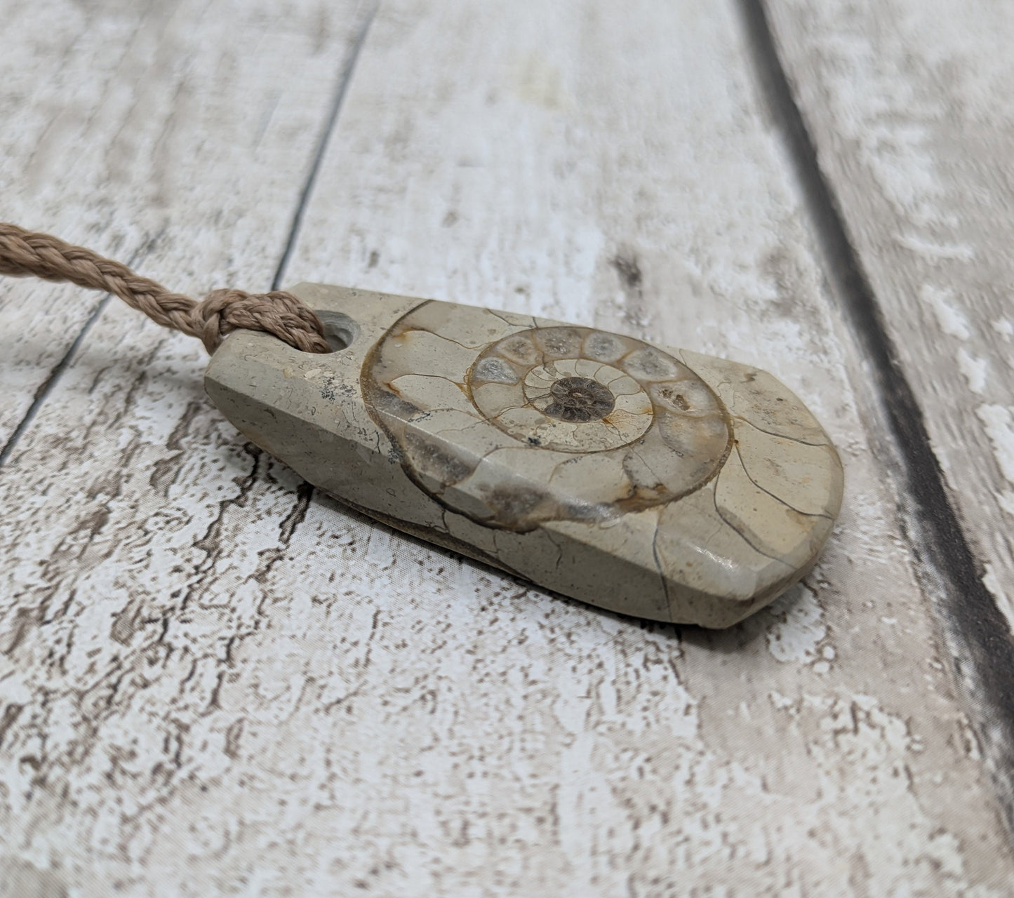 Somerset limestone ammonite fossil pendant.