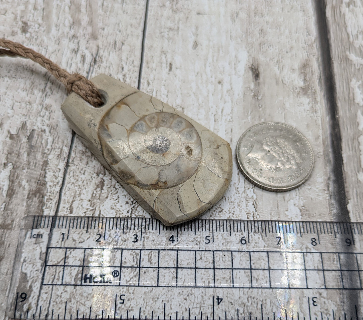 Somerset limestone ammonite fossil pendant.