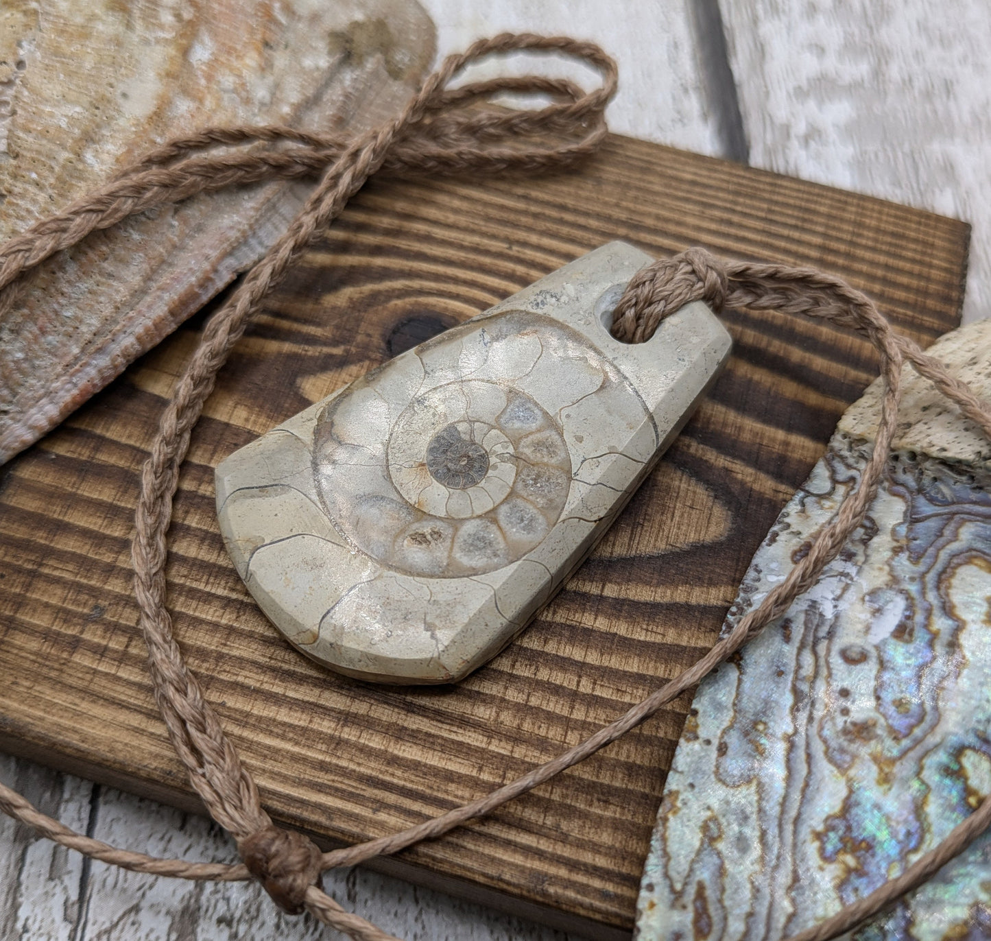 Somerset limestone ammonite fossil pendant.