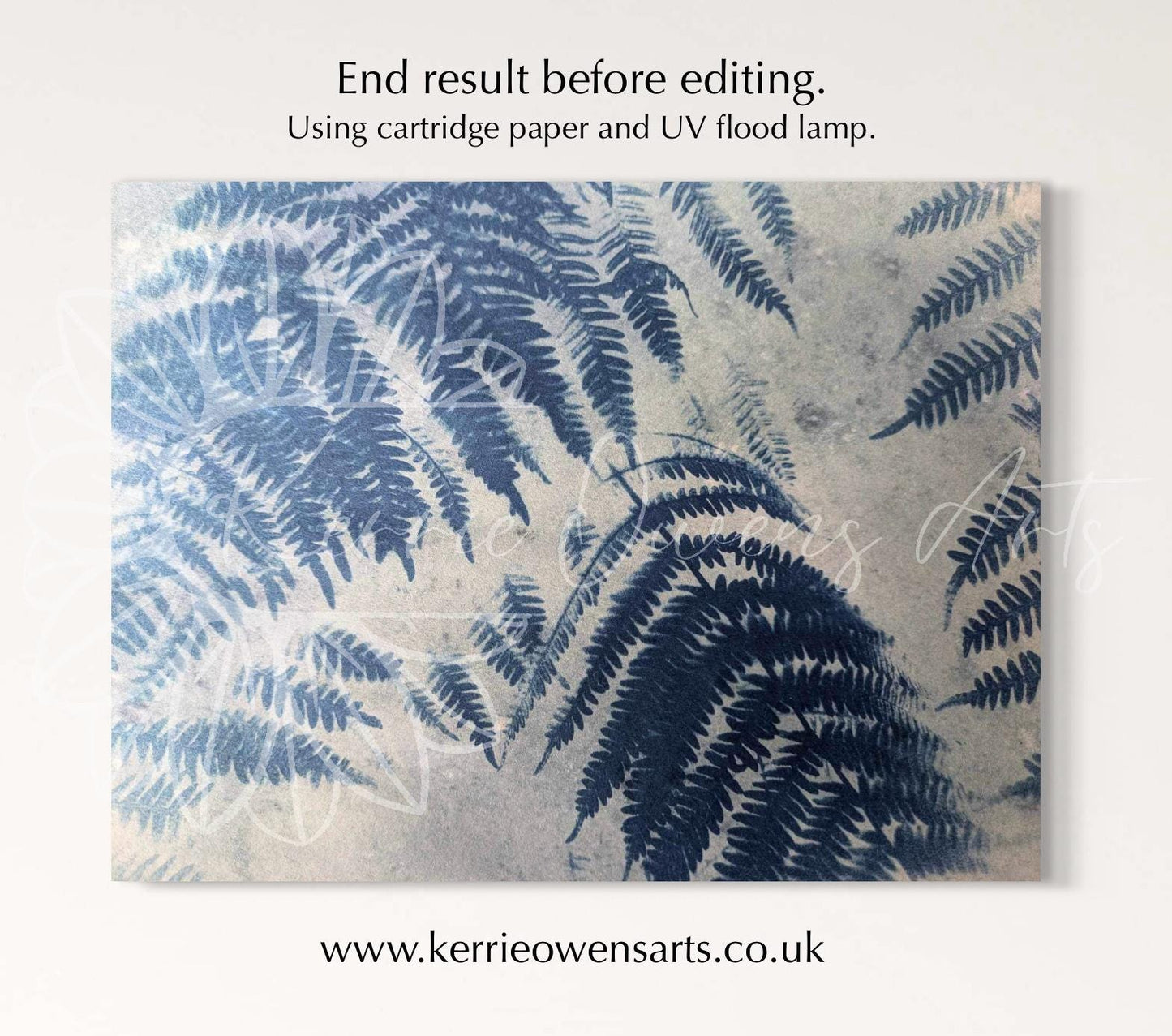 Fern leaf, cyanotype negative template, digital download, print at home.