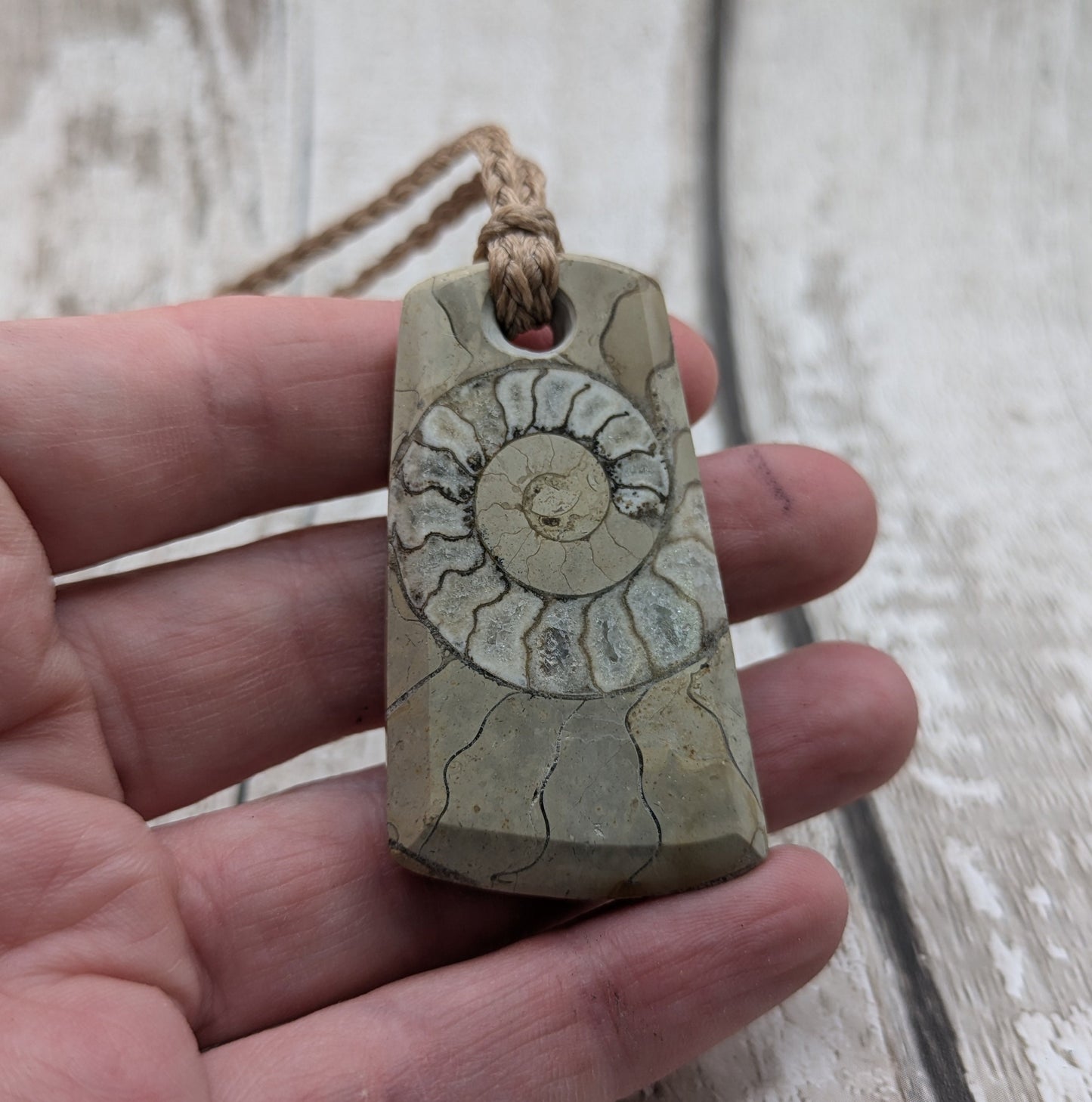 Somerset limestone ammonite pendant.