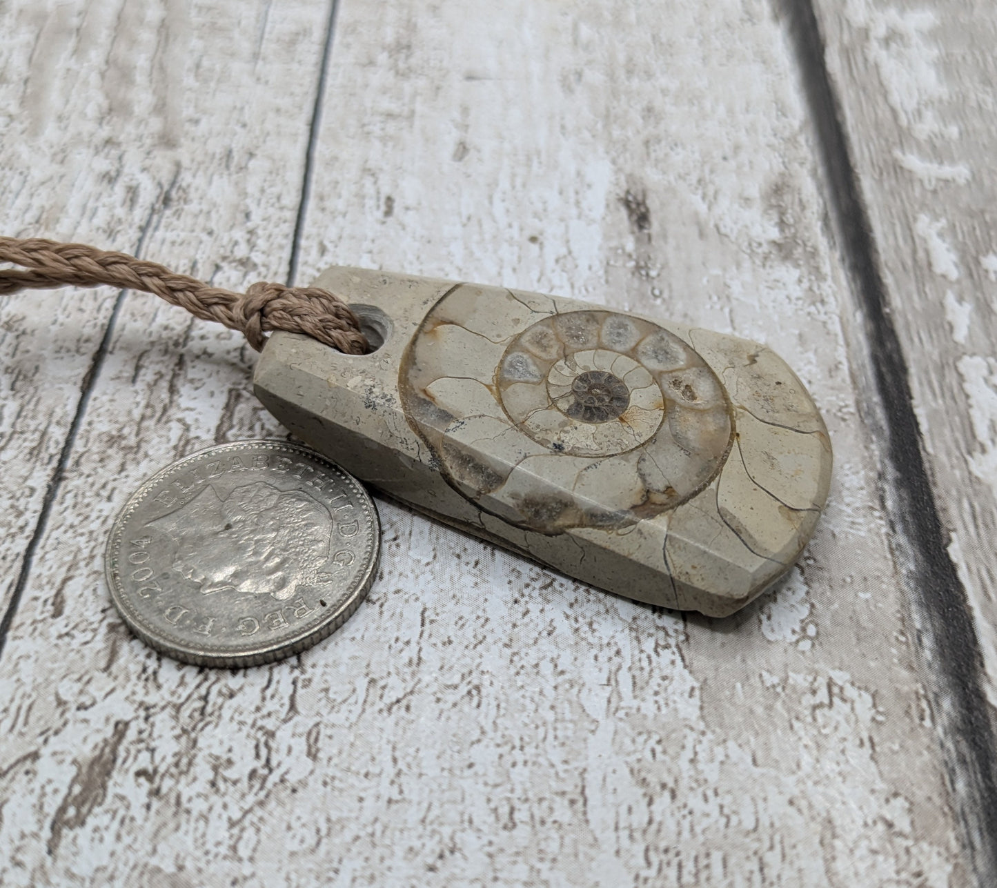 Somerset limestone ammonite fossil pendant.