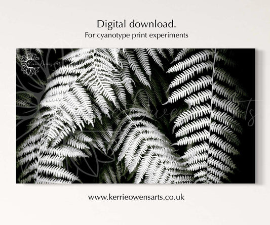 Fern leaf, cyanotype negative template, digital download, print at home.