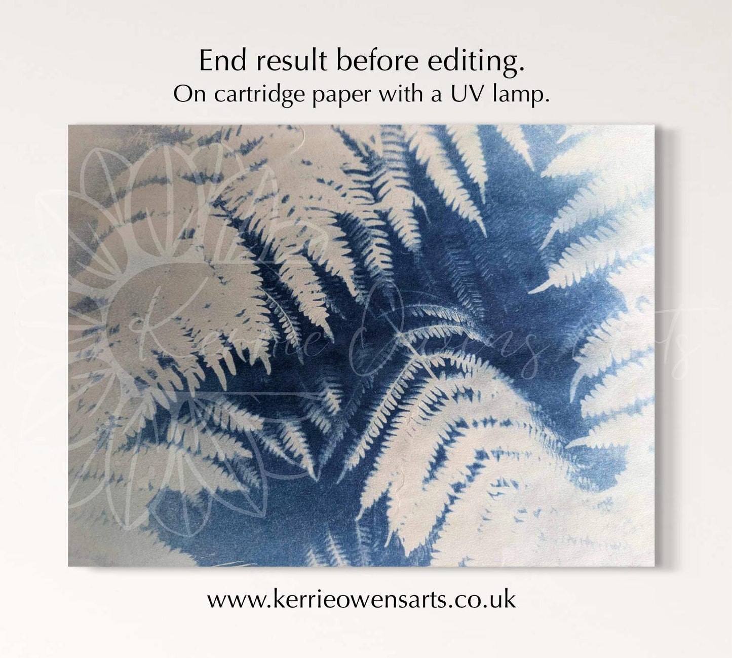 Fern leaf Cyanotype negative template for acetate sheets. Print at home.