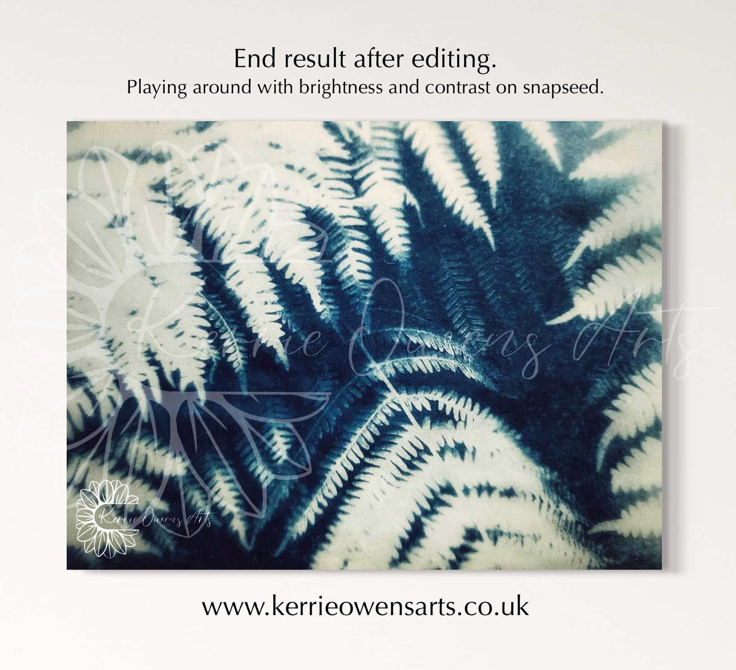 Fern leaf Cyanotype negative template for acetate sheets. Print at home.