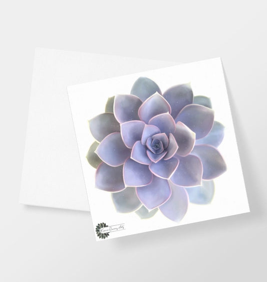 Light purple ombré succulent greeting card.