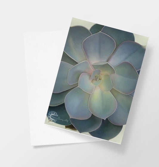 Full green ombré succulents greeting card.