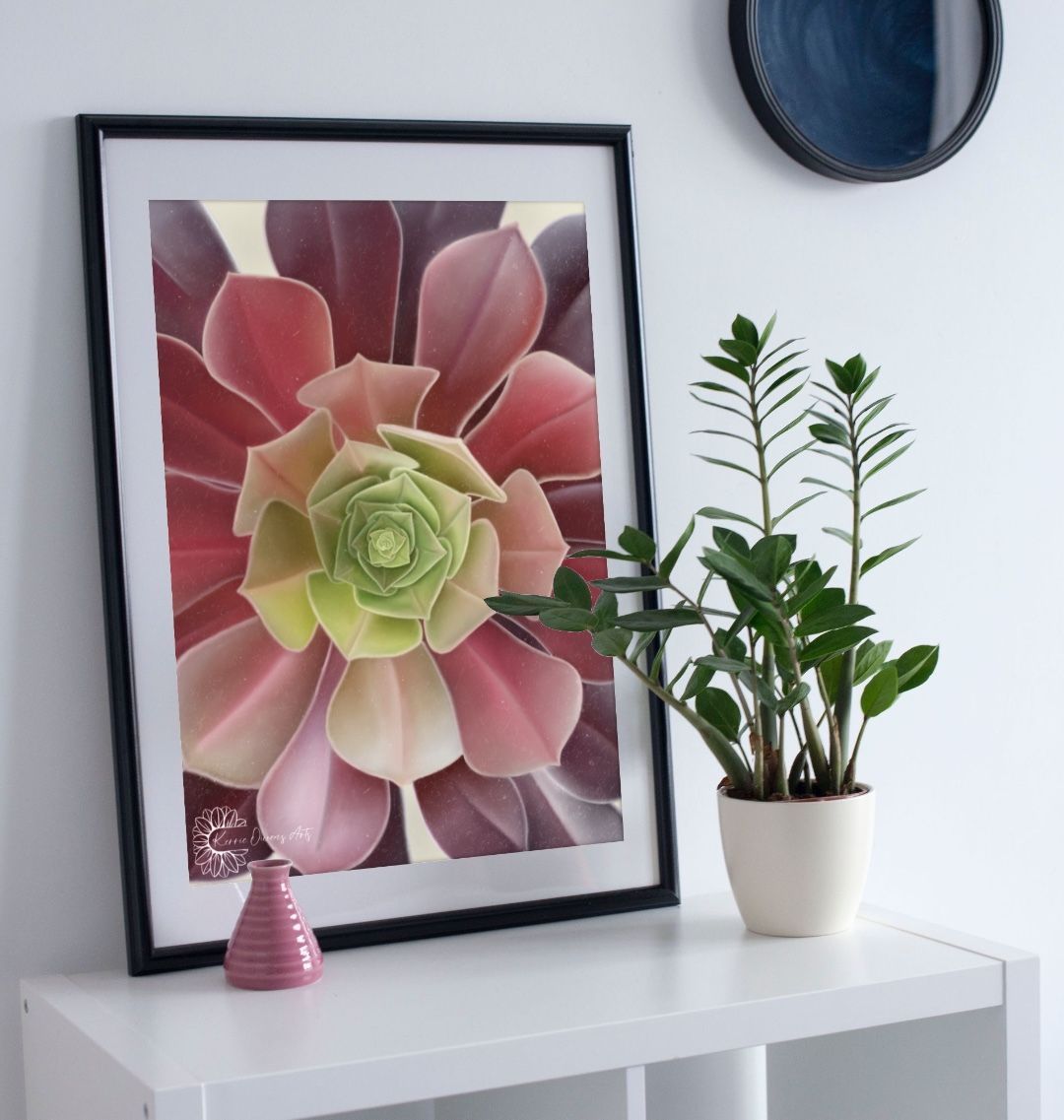 Green to purple ombre succulent up close poster print.