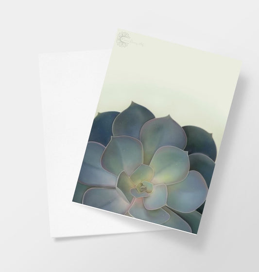 Green ombre succulents greetings card.