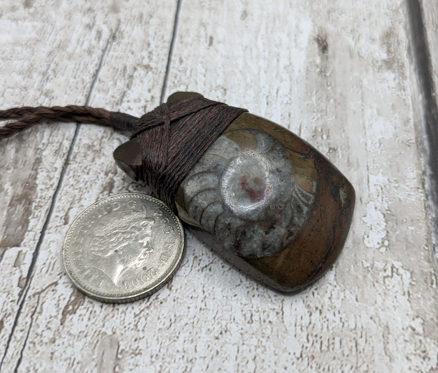 Goniatite ammonite heo toki adze pendant.