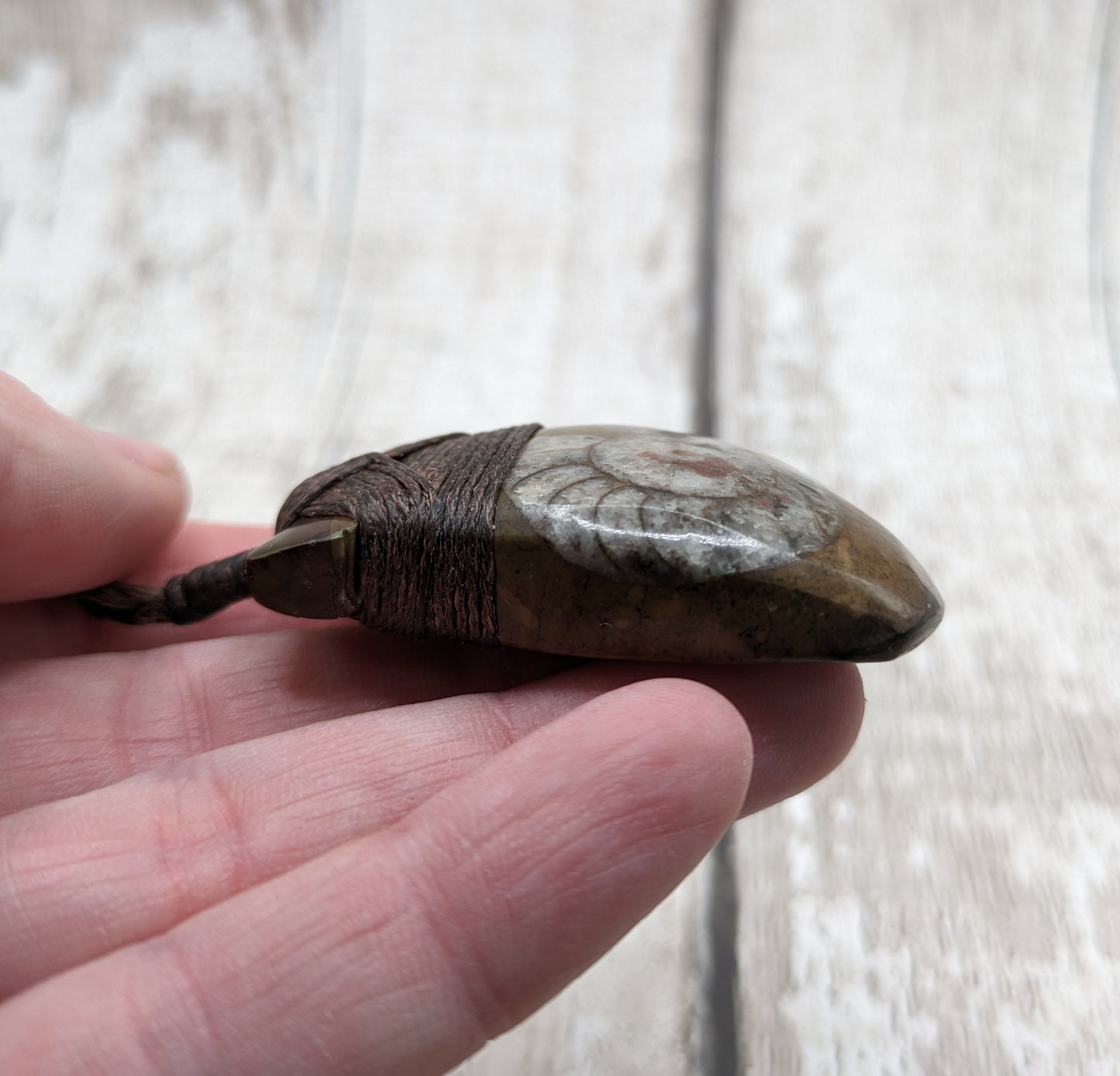 Goniatite ammonite heo toki adze pendant.