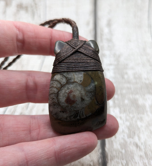 Goniatite ammonite heo toki adze pendant.