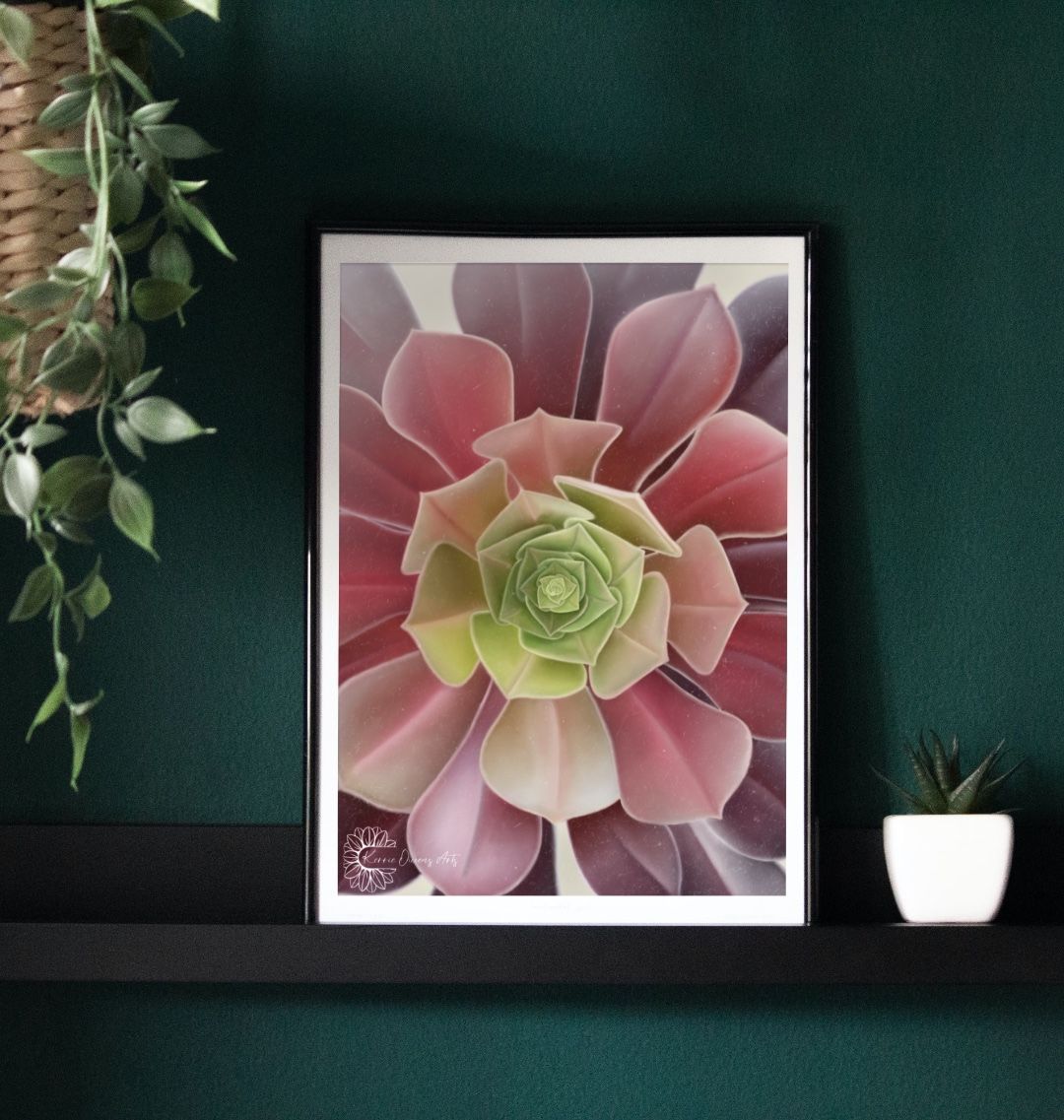Green to purple ombre succulent up close poster print.
