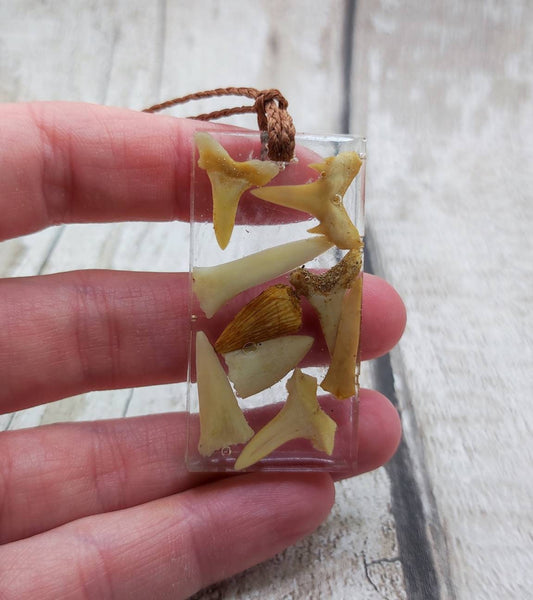 Fossilised sharks teeth in epoxy resin pendant.