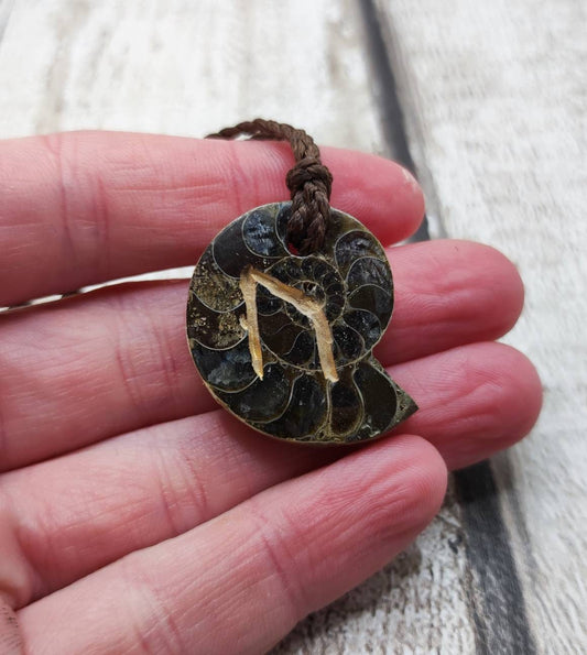 Ammonite uruz rune stone fossil pendant.