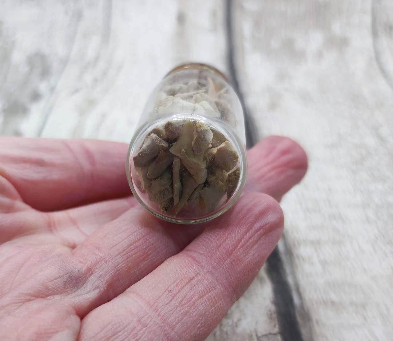 Fossilised sharks teeth glass bottle pendant.