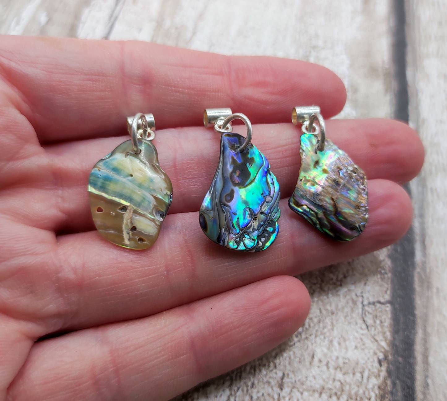 3pk rainbow paua abalone shell bracelet charms.