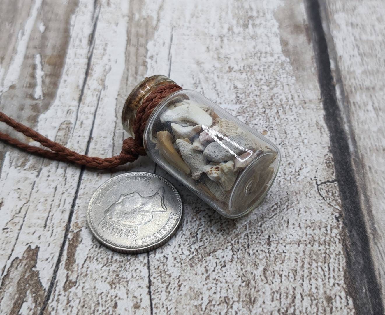 Fossilised sharks teeth glass bottle pendant.