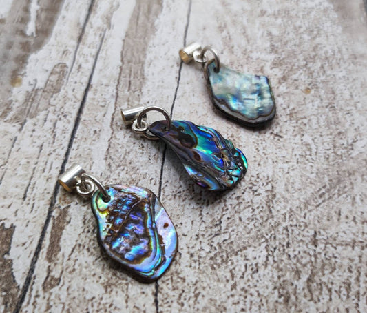 3pk rainbow paua abalone shell bracelet charms.