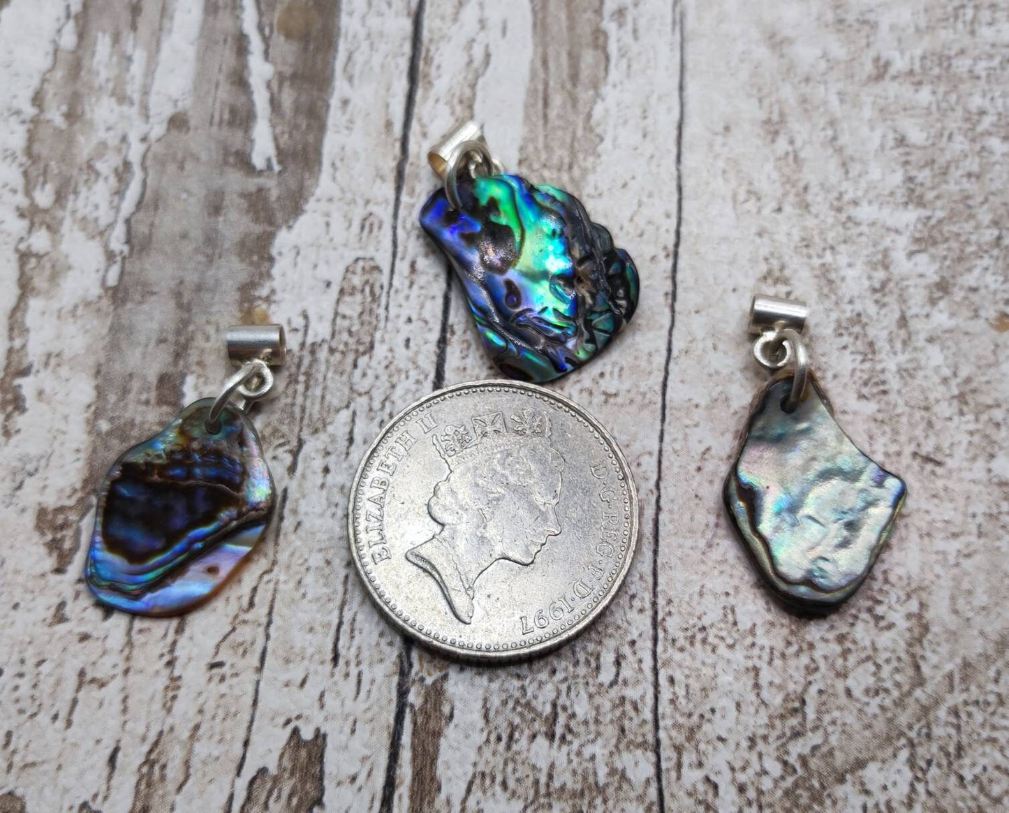 3pk rainbow paua abalone shell bracelet charms.