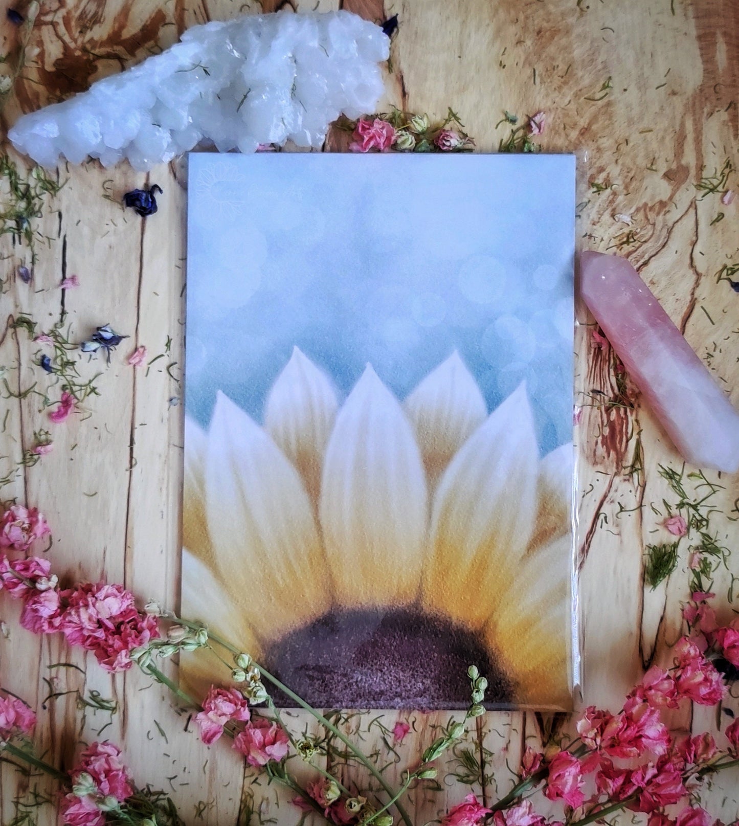 Fiadh's sunflower, printed, digital illustration.