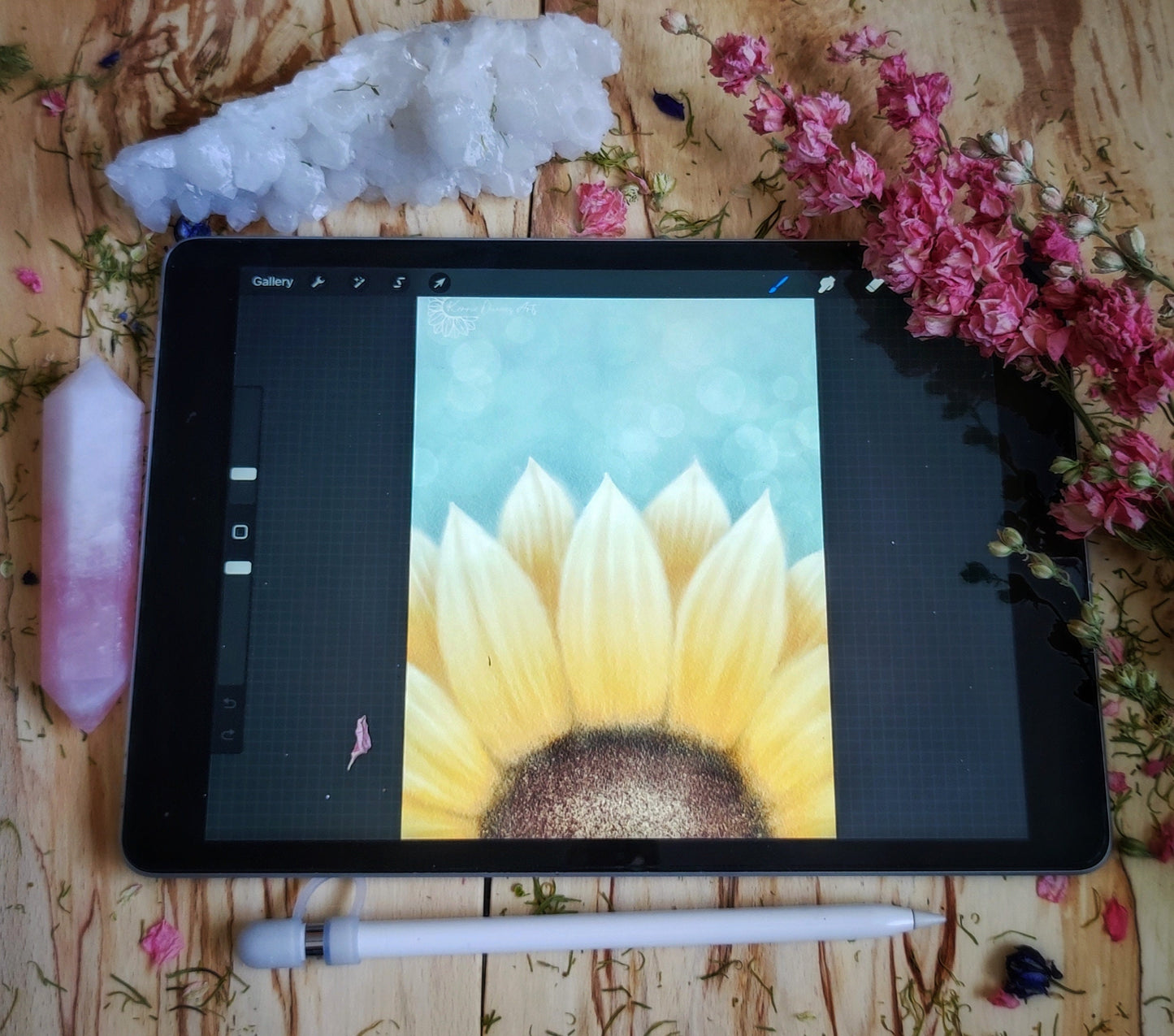 Fiadh's sunflower, printed, digital illustration.