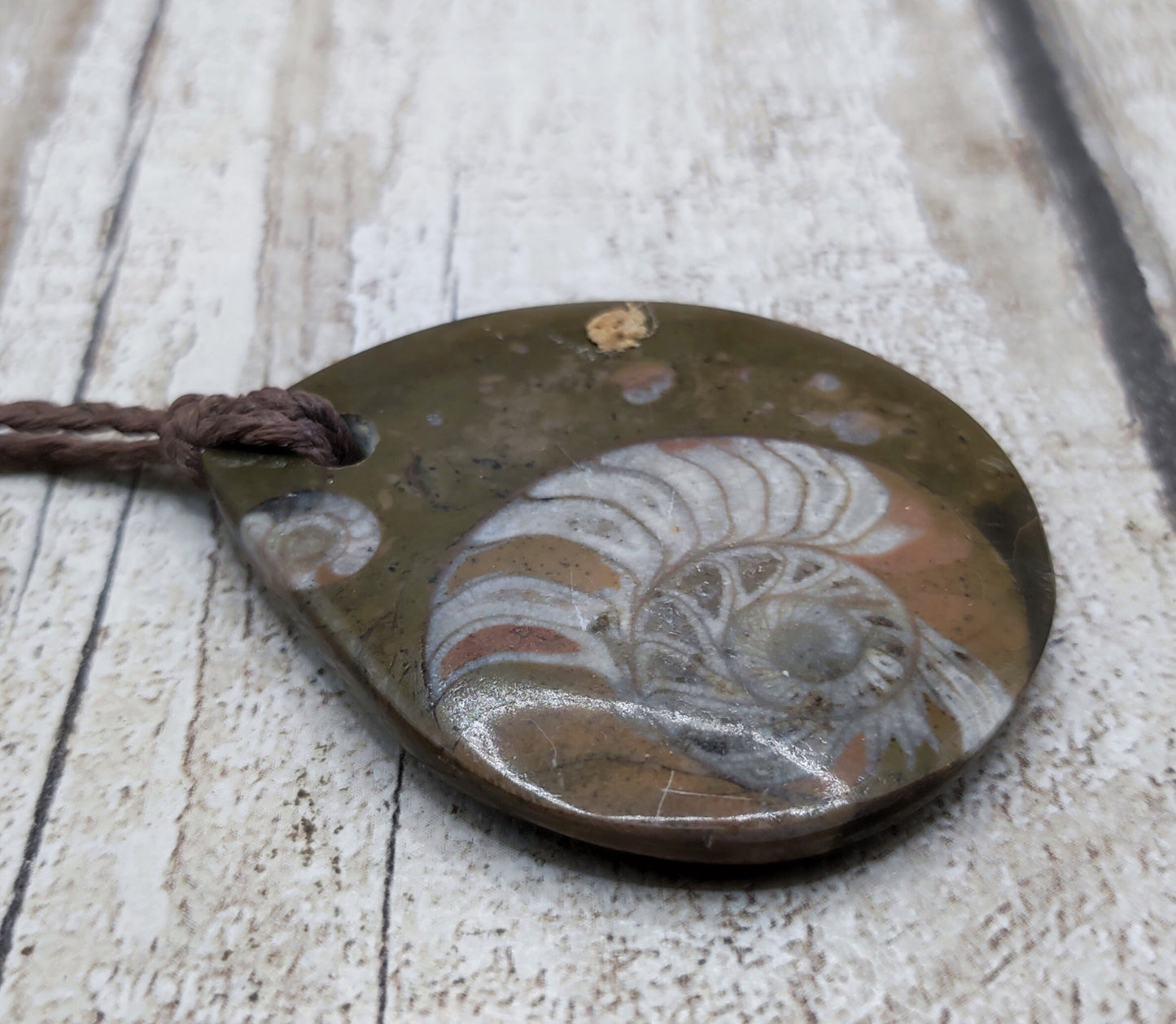 Goniatite ammonite fossil drop pendant.